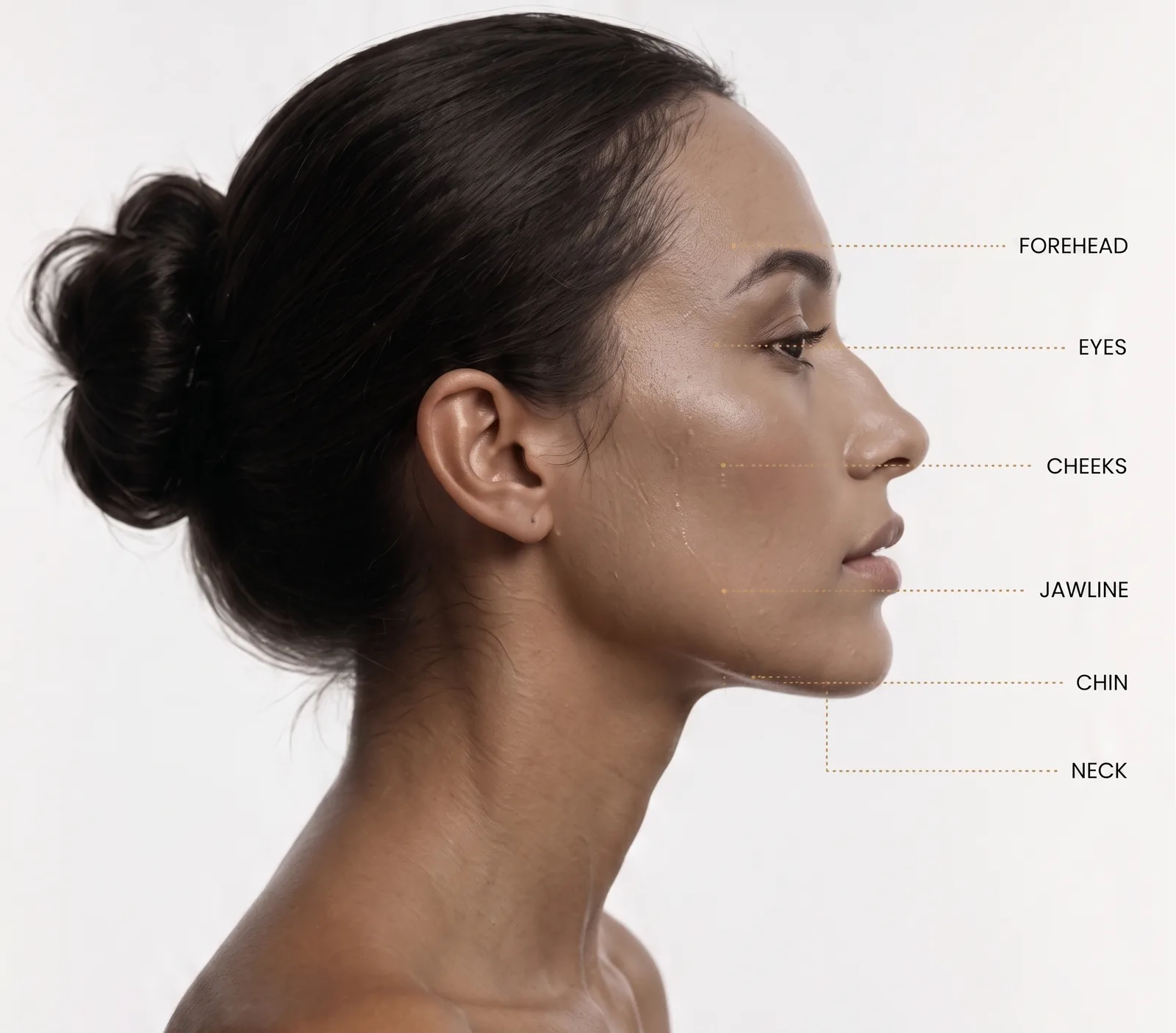 Facial structure analysis in profile — forehead, eyes, cheeks, jawline, chin, and neck
